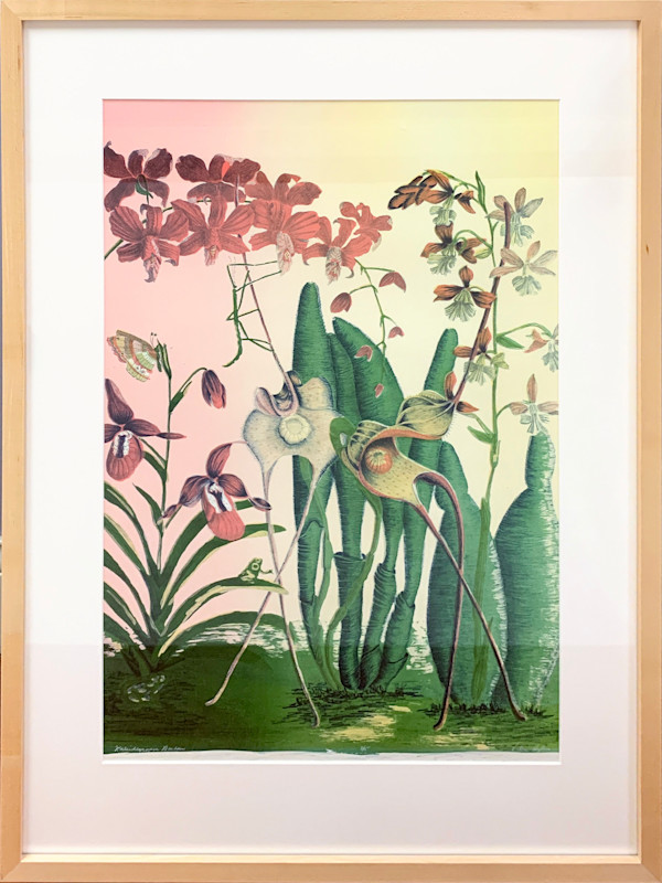 Kaleidoscopic Gardens by Val Hylin, Image 1.