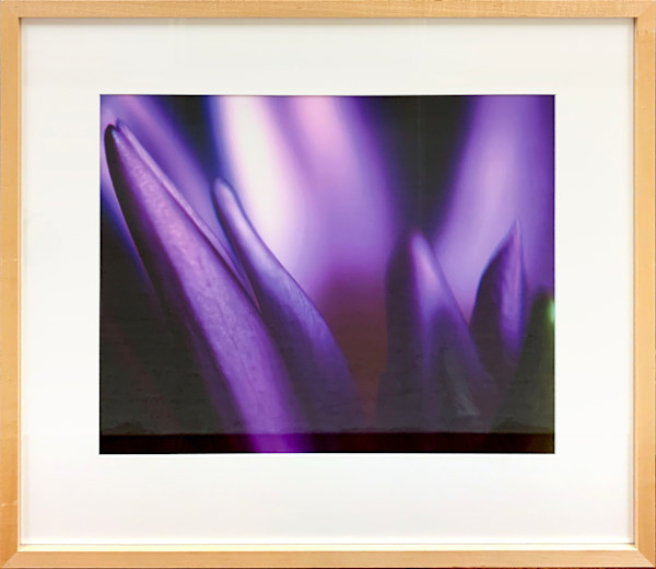Spring I by Ted Van Cleave, Image 1.