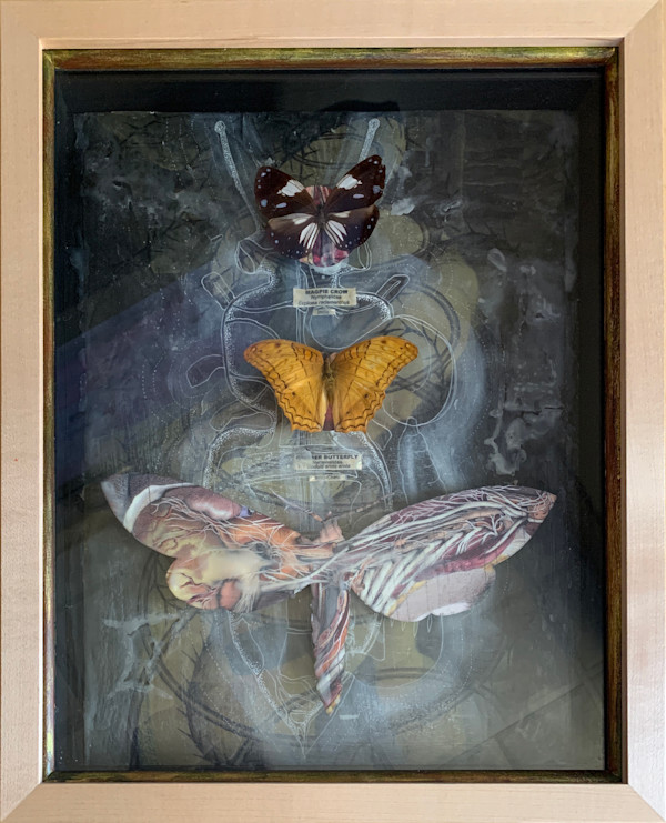 Two Butterflies, Renaissance Virgin by Joy Broom, Image 1.