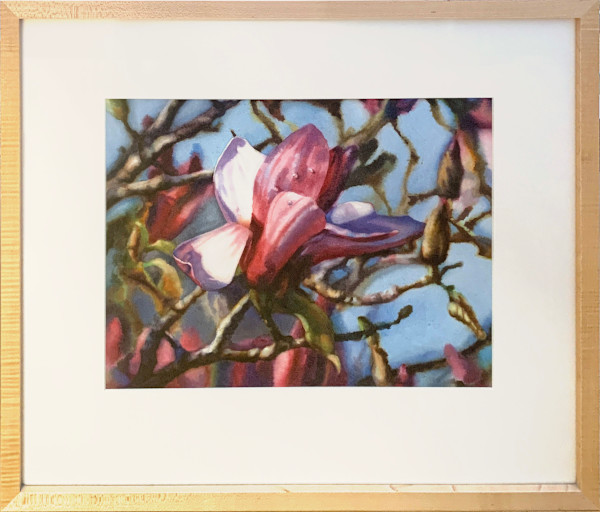 Pink Magnolia by Karen Frey, Image 1.