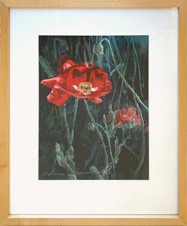 Red Poppy by Donna Barnes-Roberts, Image 1.