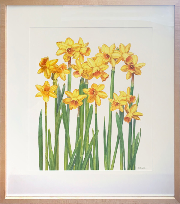 Spring Daffodils by Annette Chandler, Image 1.