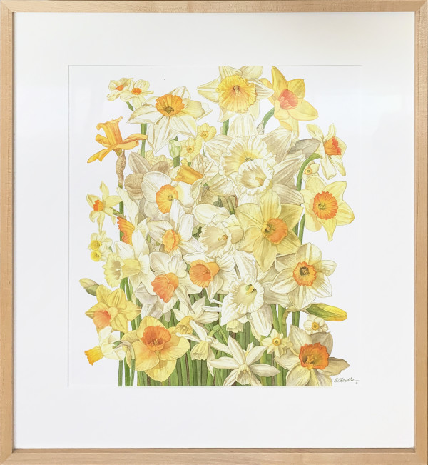 Yellow and White Daffodils by Annette Chandler, Image 1.