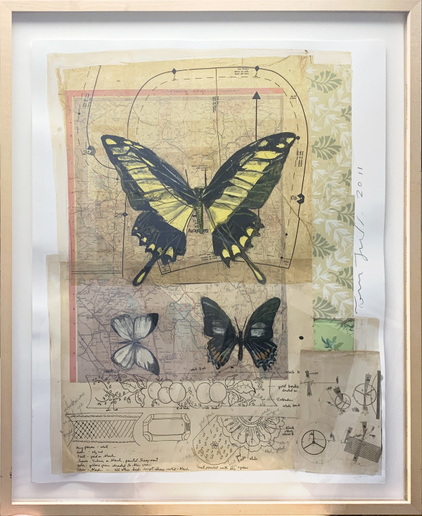 Butterflies by Tom Judd, Image 1.