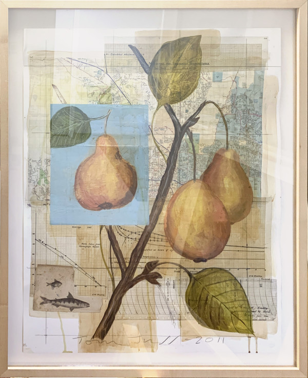 Pears by Tom Judd, Image 1.