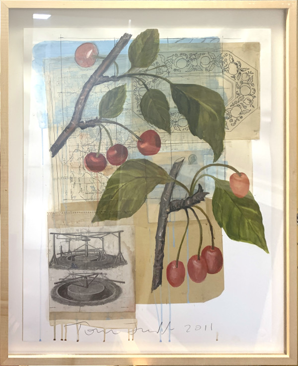 Cherries by Tom Judd, Image 1.