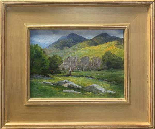 California Wildflower Hills (Homer Ranch, Central Calif., Near Visalia) by Karen Winters, Image 1.