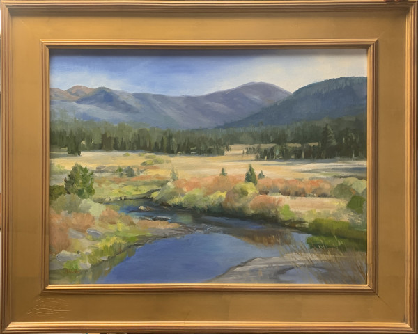 Go with the Flow (Carson River, w. Fork Crossing) by Karen Winters, Image 1.