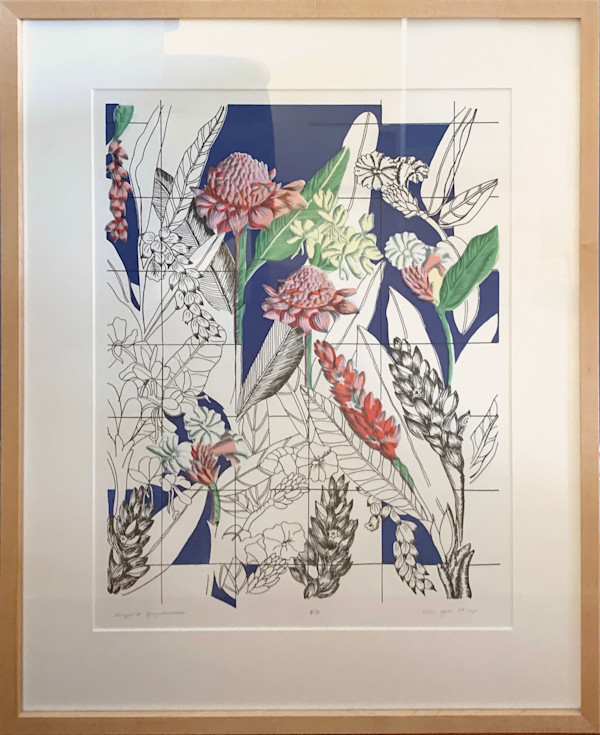 Images of Zingiberaceae by Val Hylin, Image 1.