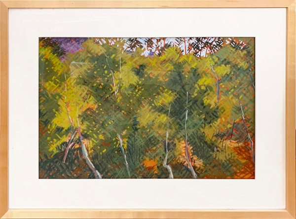 Thomas Creek Aspens by Sidne Teske, Image 1.
