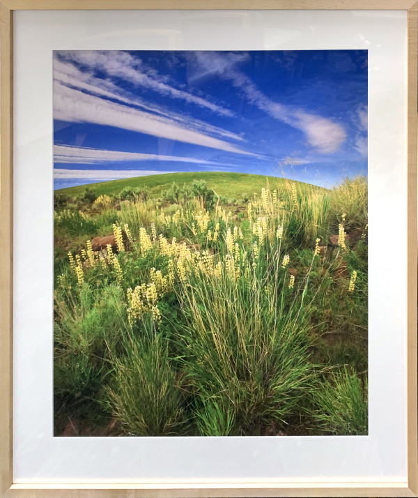 Wildflower Hill by Stephen Chandler, Image 1.