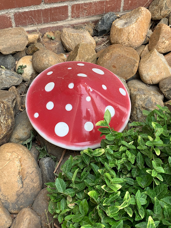 Mushrooms (2 of 2) by Beechwood Metalworks, Image 1.