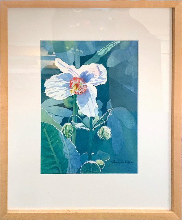 Himalayan Blue Poppy I by Penny Pemberton, Image 1.