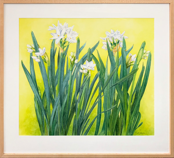 Paperwhites II by Annette Chandler, Image 1.