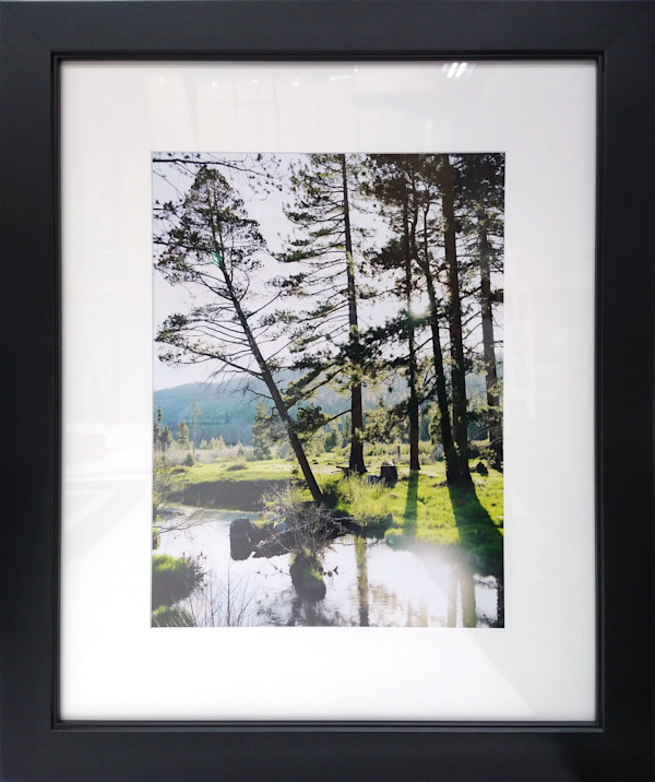Sunlight on a Stream Near Tahoe by David Keller, Image 3.