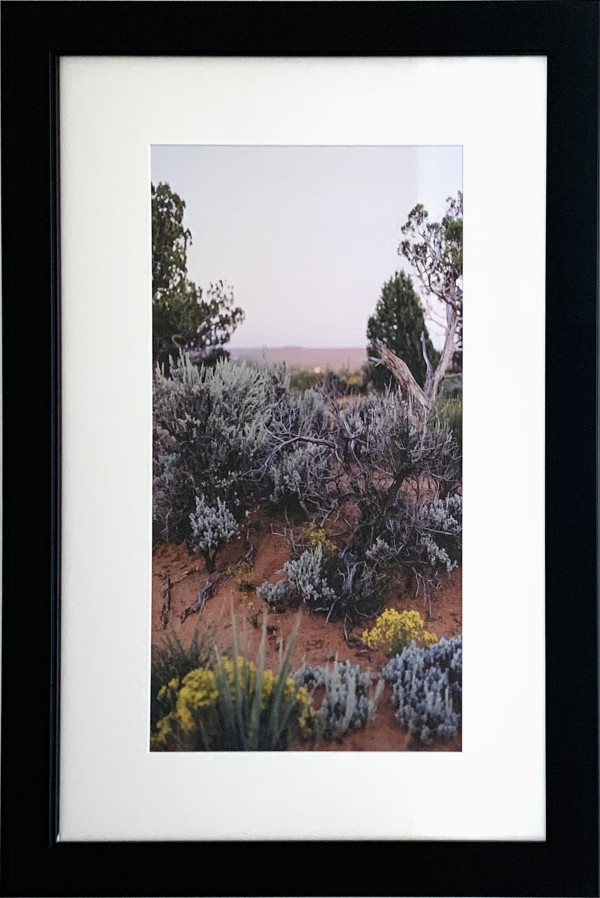 Desert Landscape by Michelle Edmonds, Image 3.