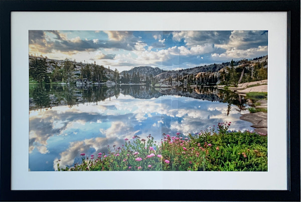 Wildflowers at Paradise Lake 2 by Scott Thompson, Image 3.