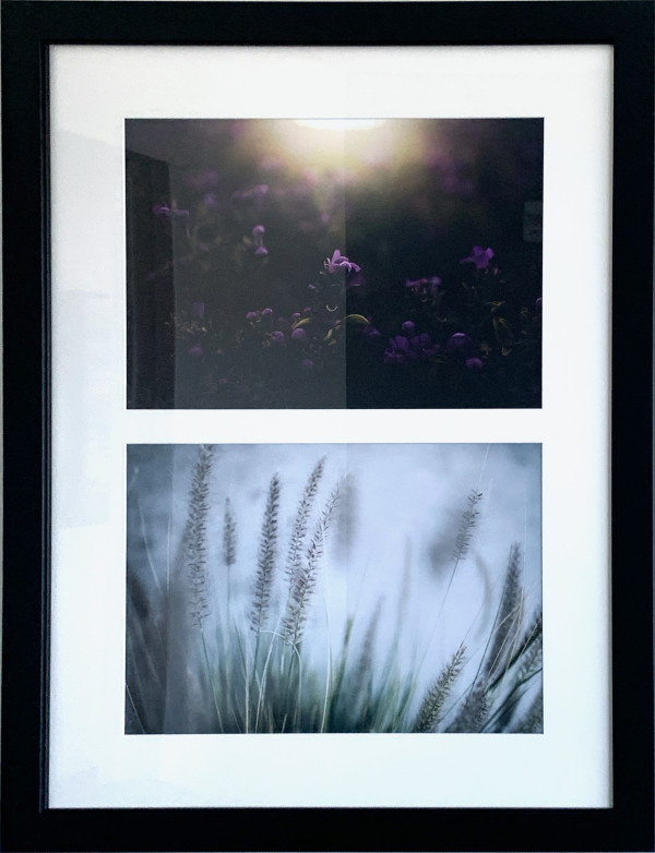 Nevada Indigenous Flora Series by Rachel Bellinsky, Image 3.