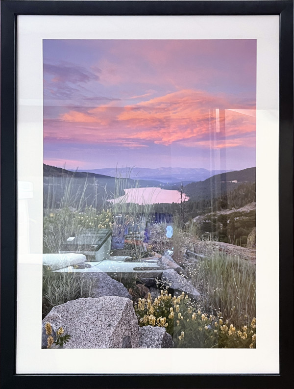 Wildflowers Above Donner Lake by Scott Thompson, Image 3.