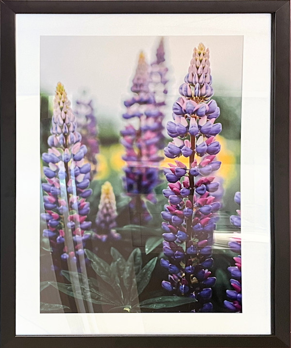 Lupine by Olivia St Claire, Image 3.
