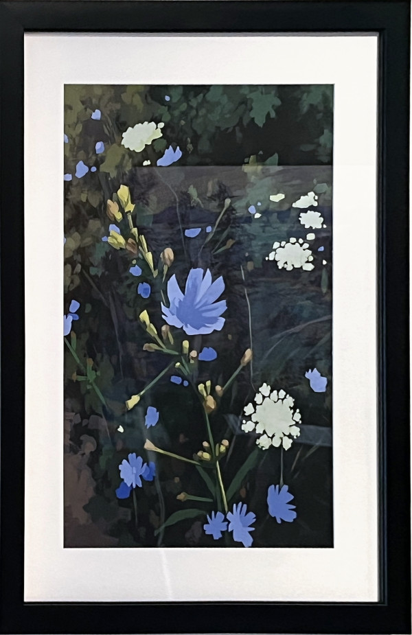 Chicory & Queen Anne's Lace by Sarah Moore, Image 3.