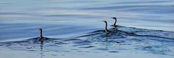 Trois cormorans by Antoine Renault