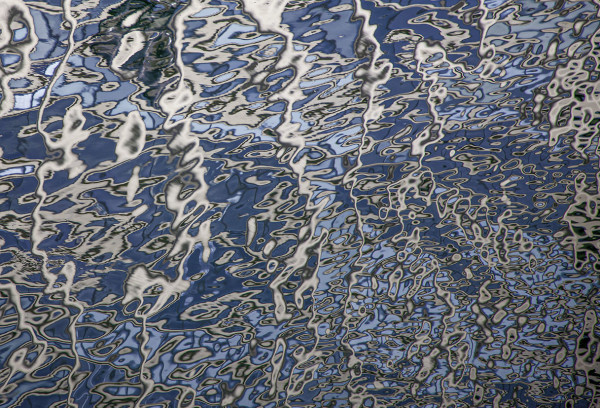 Touch of Grey by Catherine Hartigan Photography