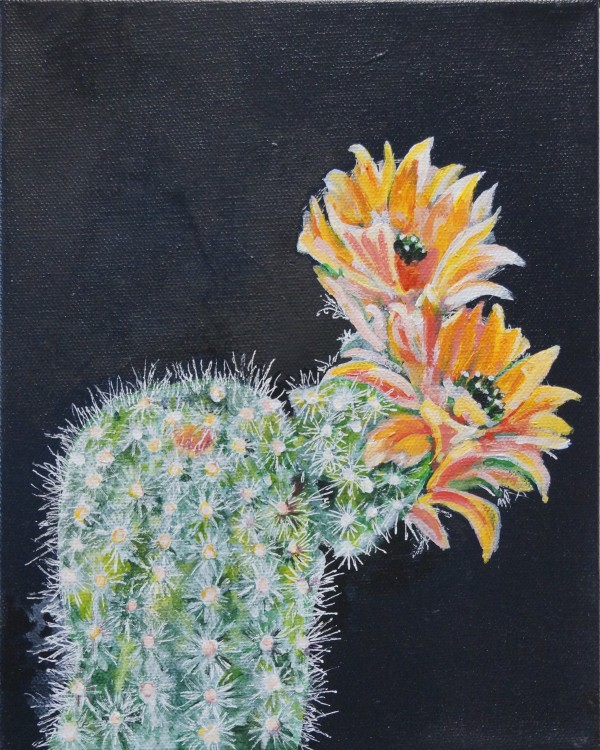 Flowering cactus Yellow2 by Cheryl Handy