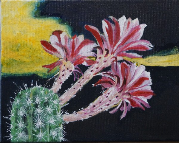 3-flower cactus by Cheryl Handy