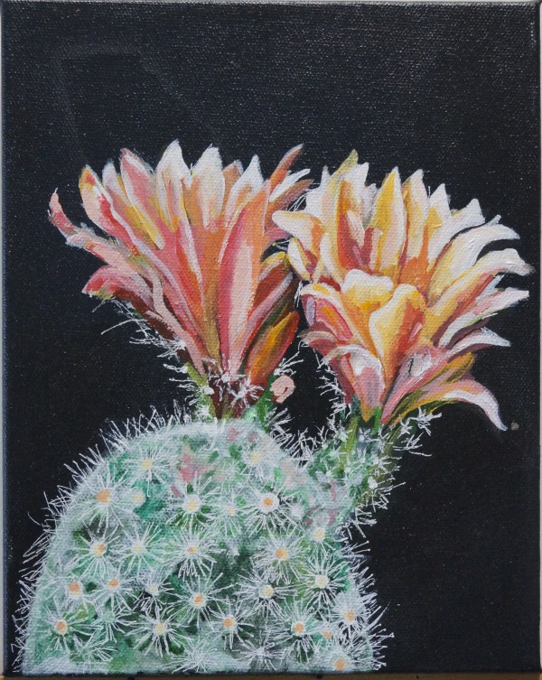 Flowering cactus 03 by Cheryl Handy