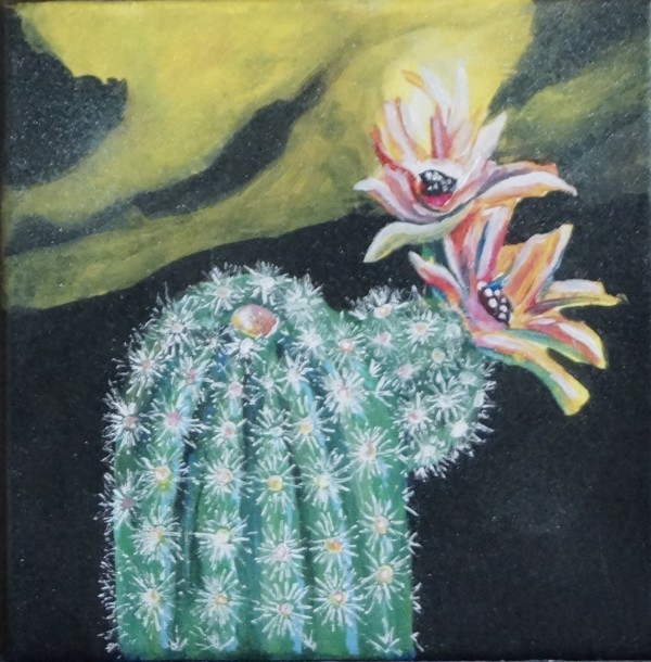 Flowering cactus 04 by Cheryl Handy