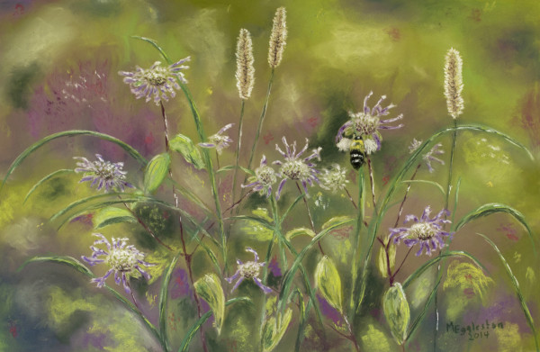Bee and Monarda by Melissa Eggleston