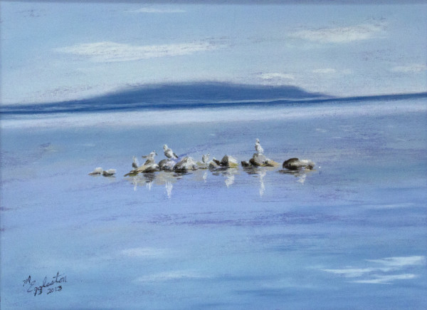 Seagulls on the Rocks by Melissa Eggleston