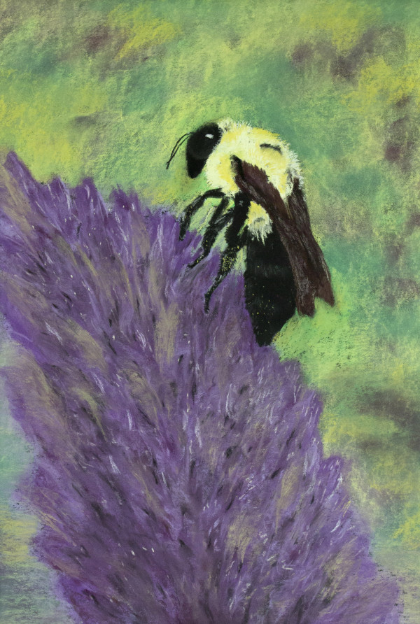 Bee on purple flower by Melissa Eggleston