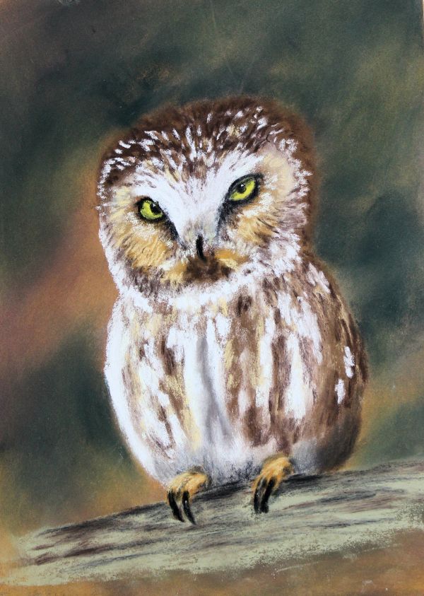 Owl by Melissa Eggleston
