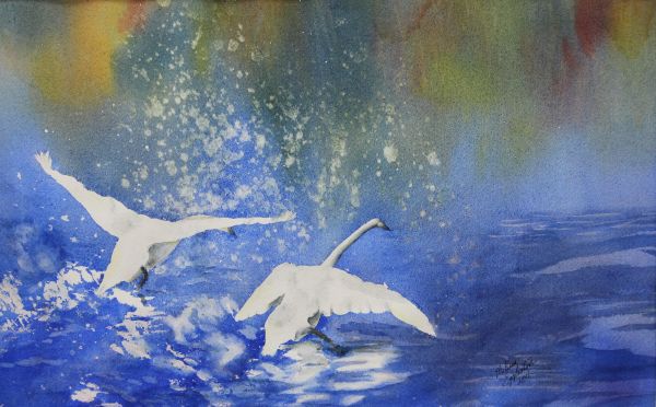 Action Swans by Melissa Eggleston