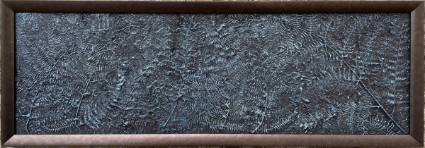 Framed fern by sally