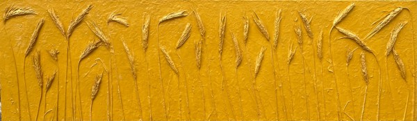 Golden Havest by sally