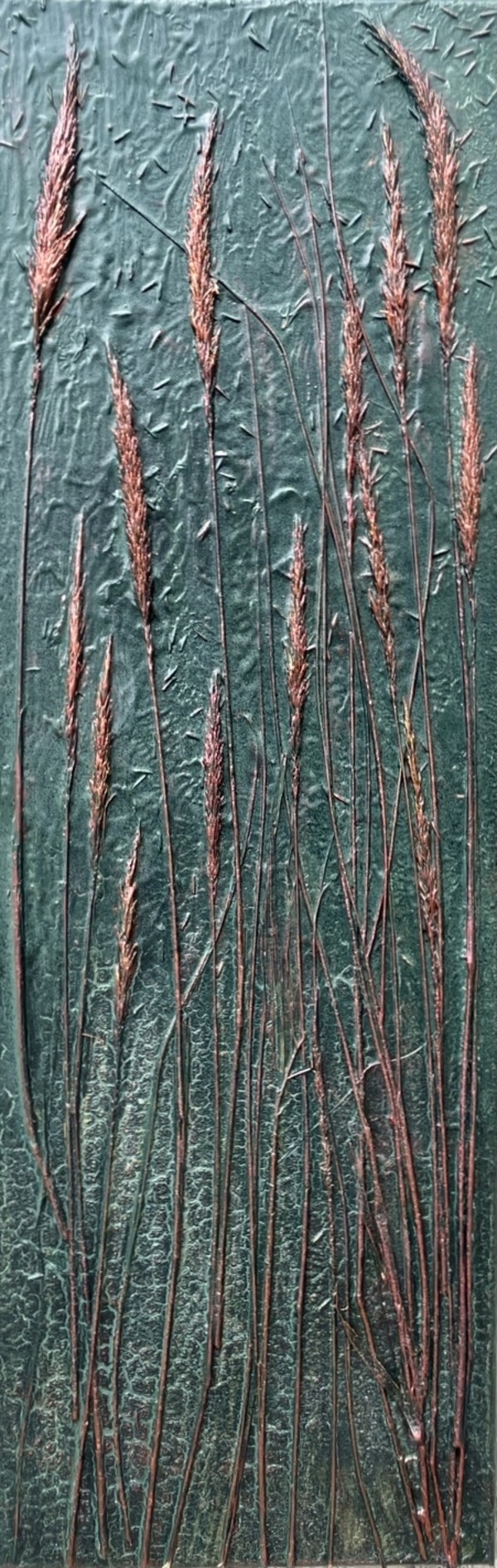 Bronze Grasses by sally