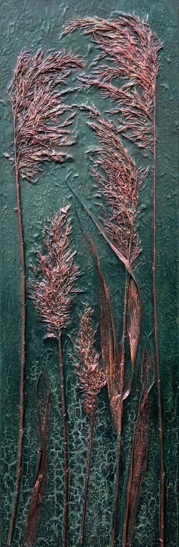 Bronze Reeds by sally