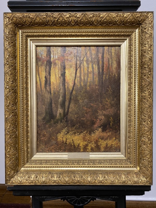 Autumn Woods-Skaneateles