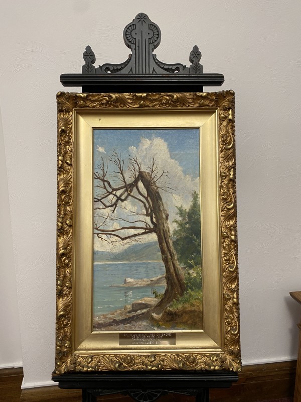 Dead Beech Tree on Shore of Skaneateles