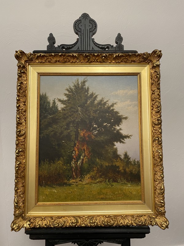 Study of Ivy and Trees