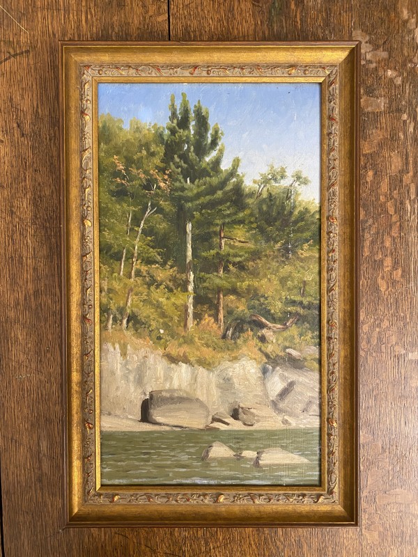 Shore Rocks and Foliage