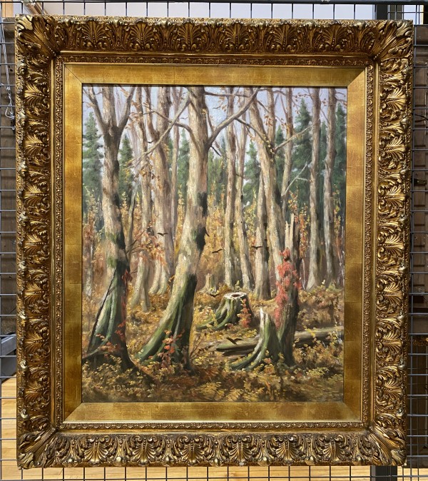 An Autumn Forest Scene