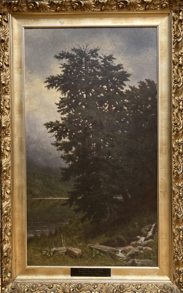 Hemlock on a Lake Shore