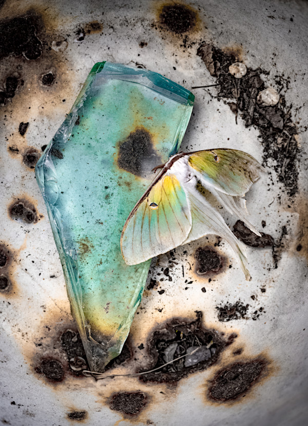 Abandoned by David Mosher