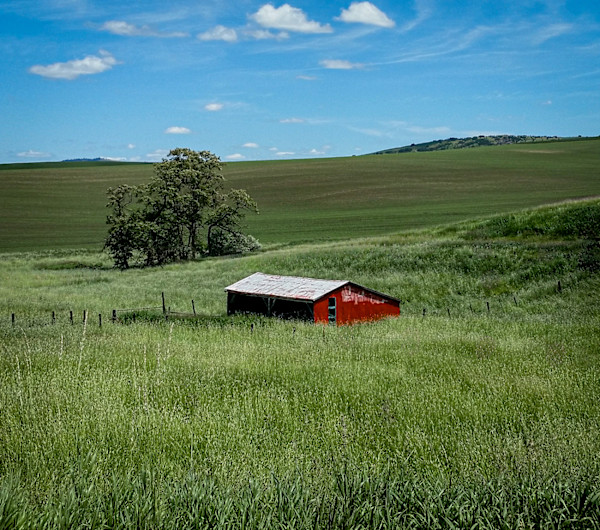 A Little Red Barn by Stephanie Banks