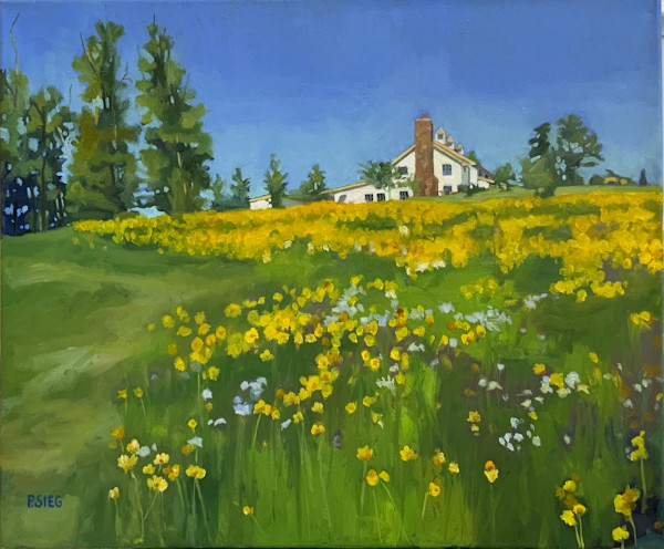 Summer at the Seclusion by Patrick Sieg