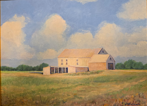 A Farm Near Poolesville by Timothy Whitehouse